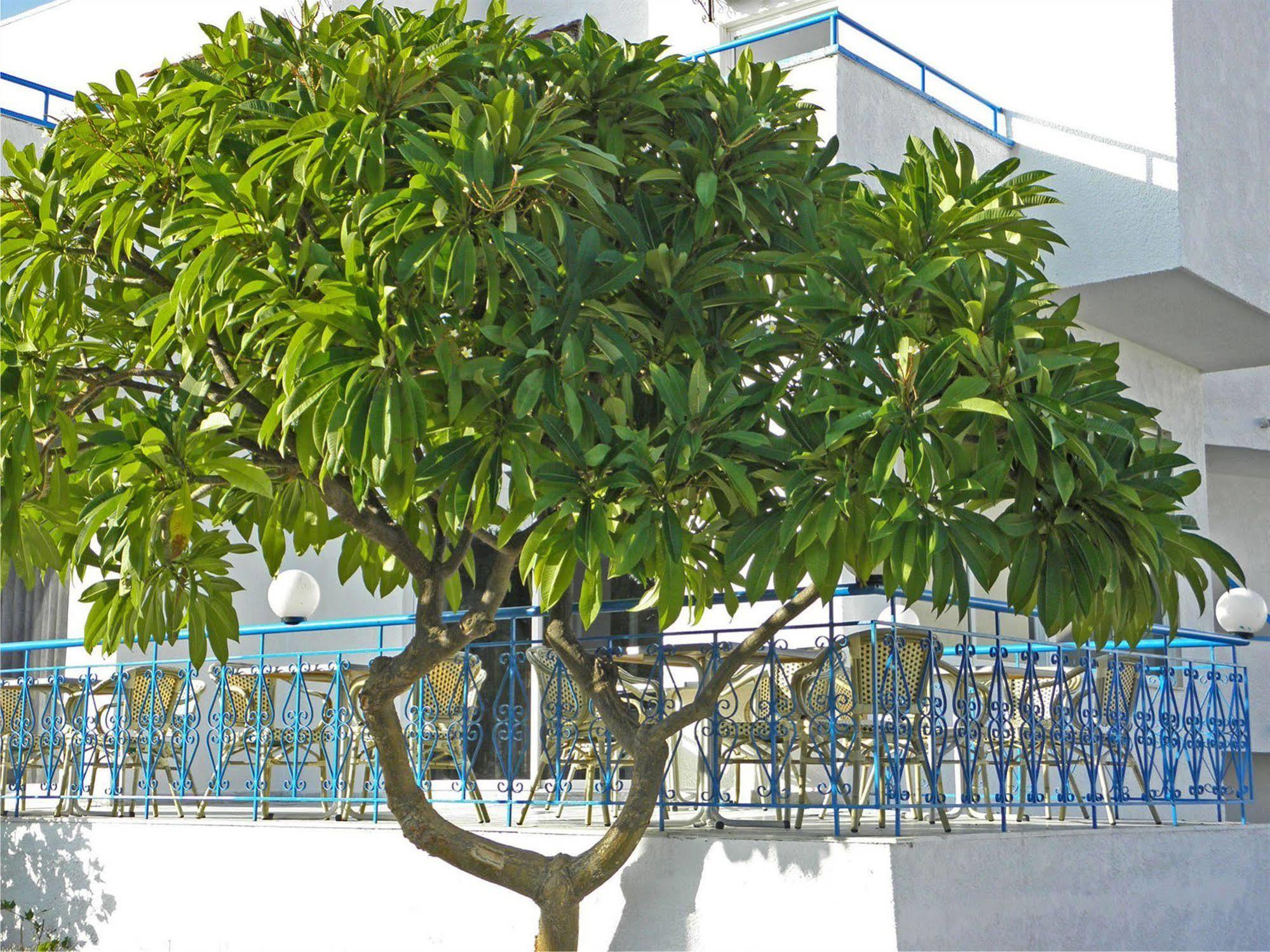 Summer Breeze Gennadi Exterior foto